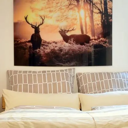 公寓 Ivanka Mit Garten 施利尔塞